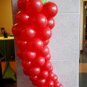 Do you need a special themed column for your event? Let us design that special balloon design that fits your themed event what ever it is.
