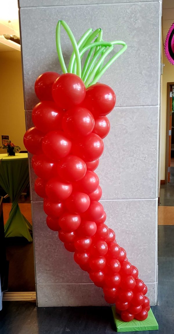 Do you need a special themed column for your event? Let us design that special balloon design that fits your themed event what ever it is.