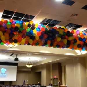 Do you need a balloon drop to use at you event to coinside with a big announcement or drop for a New Years party? Let us setup your drop that will surely WOW your guests at your event.