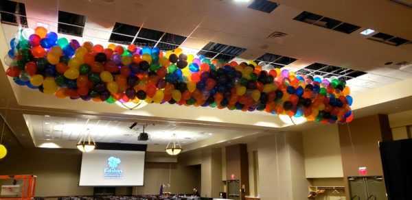 Do you need a balloon drop to use at you event to coinside with a big announcement or drop for a New Years party? Let us setup your drop that will surely WOW your guests at your event.
