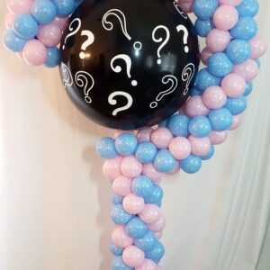 Wouldn't all your guests be Wowed when they see this Question Mark sculpture for your upcoming Gender Reveal party!