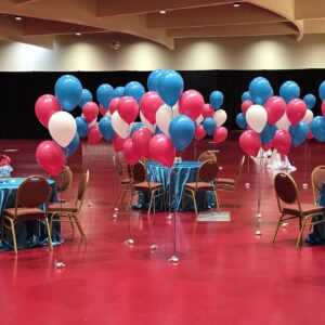 Do you need a bunch of Helium balloon bouquets to highlight areas or to sit on tables at your event?